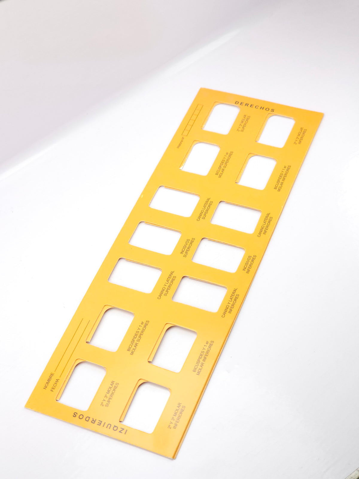 Carton para RX ( porta rx) x14 espacios adulto