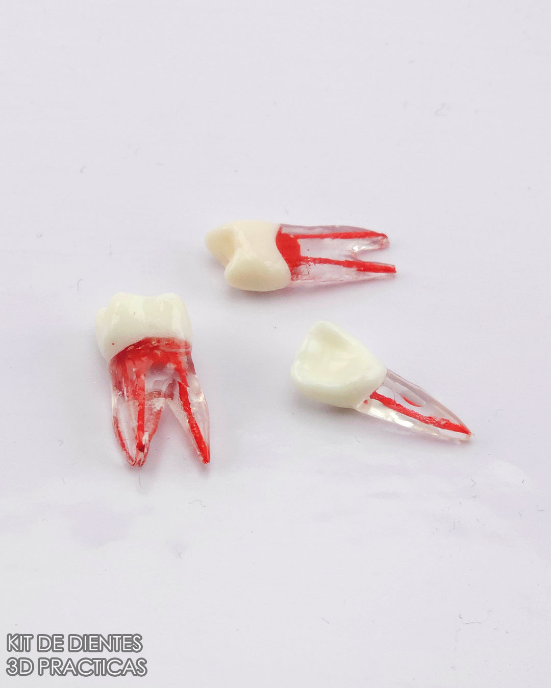 Kit de Dientes 3D para Practica