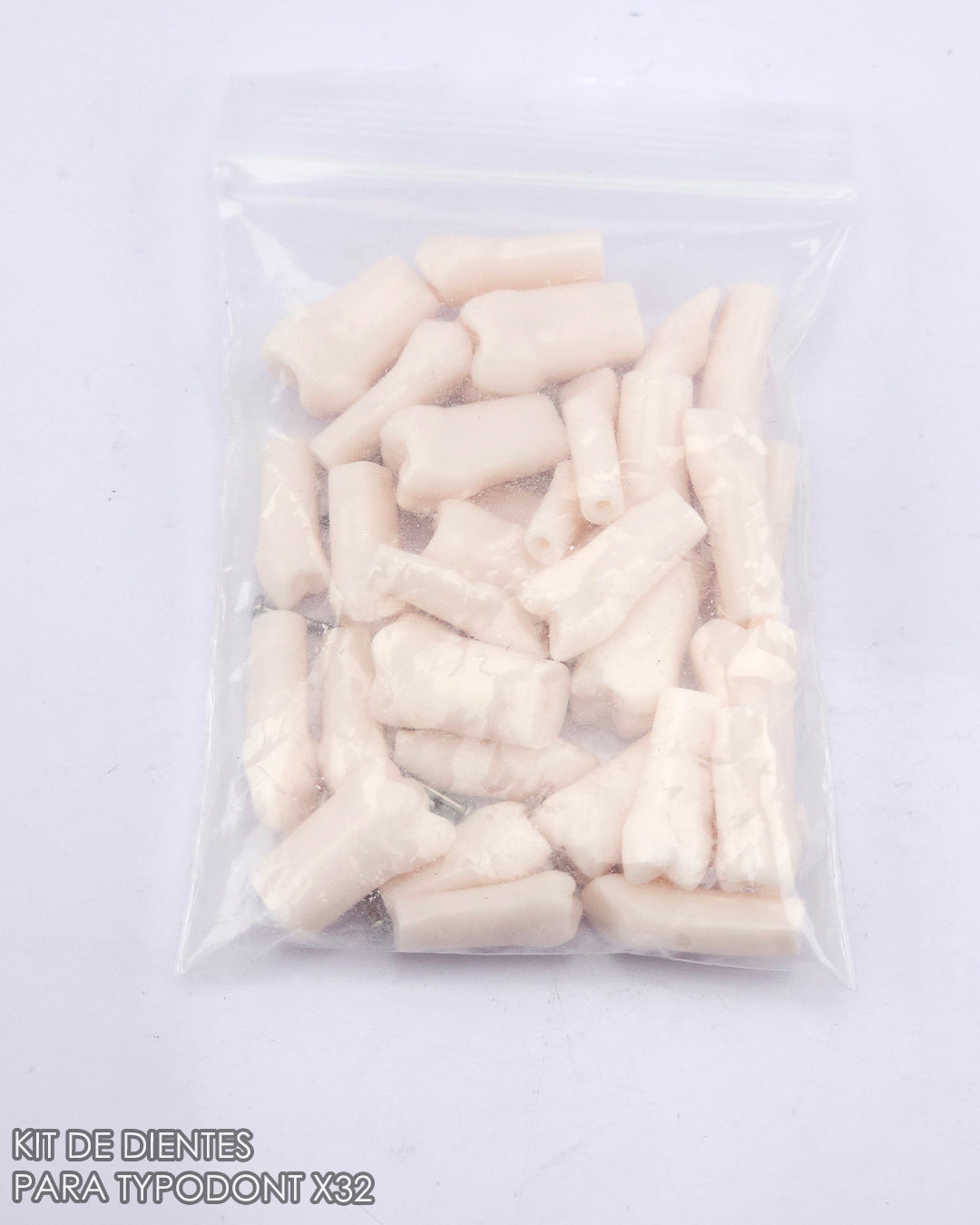 Dientes para Typodont x32 pcs con Tornillos