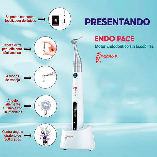 Endomotor Endopace Woodpecker Sin Escobillas
