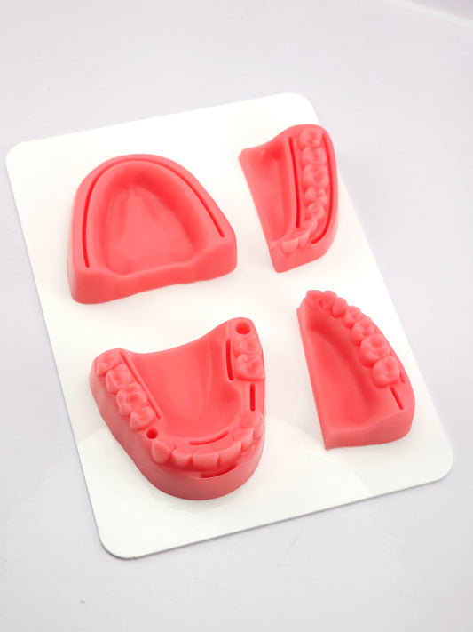 Pad para Practica de Sutura Gingival