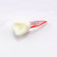 Diente 3D para Practicas (Molar, Premolar, Incisivo)