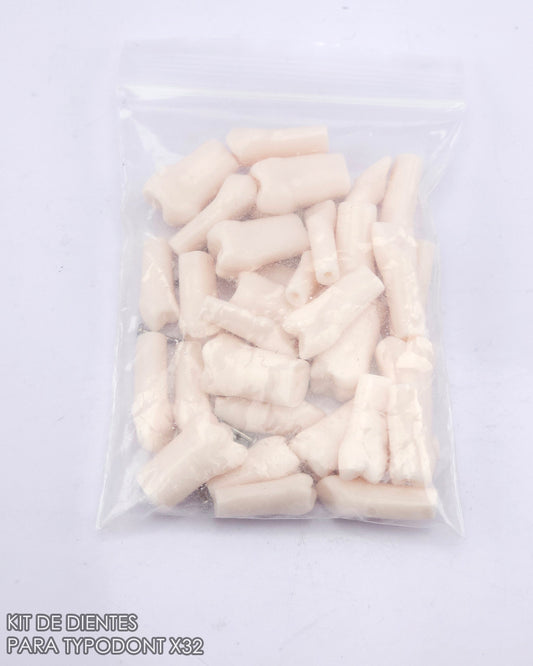 Dientes para Typodont x32 pcs con Tornillos