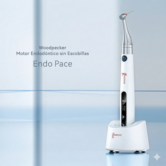 Endomotor Endopace Woodpecker Sin Escobillas